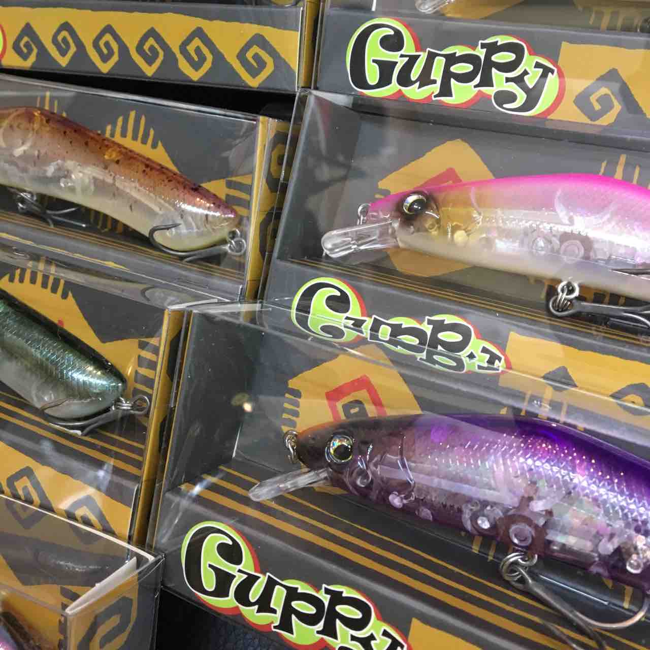 ミブロ グッピー ジャッカル マイクロポンパドール Etc 入荷 Rocket Blog