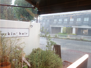 合言葉は雷雨決行 ロッキンヘアーでゆられたい