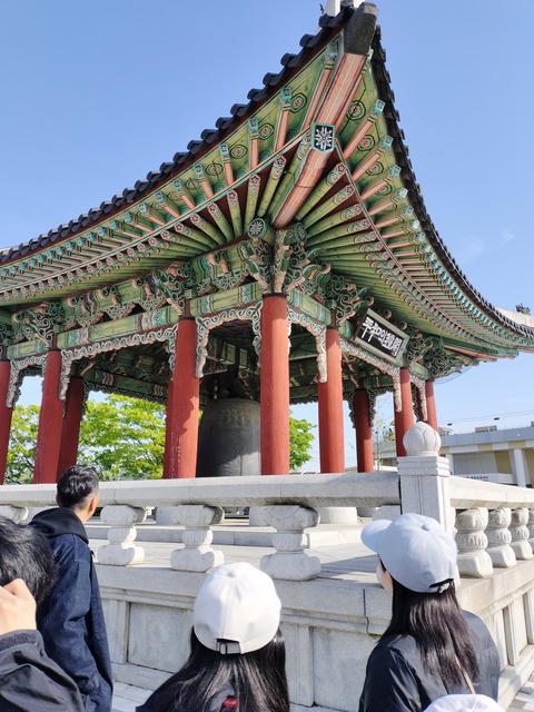 IMG20250504080733