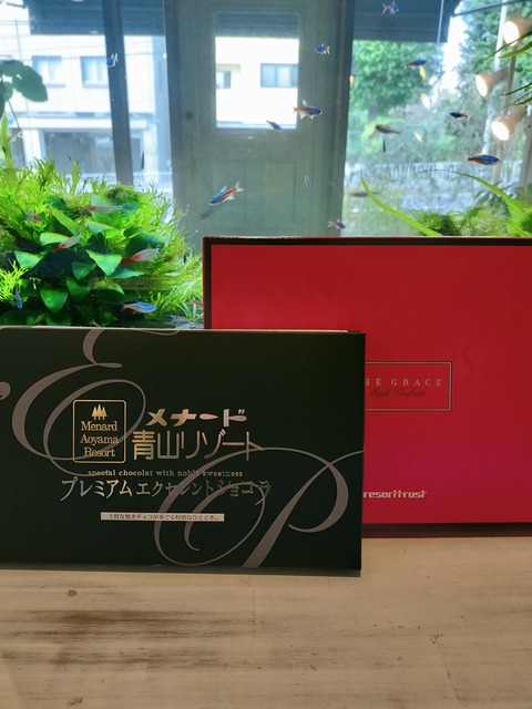 IMG20230831155847