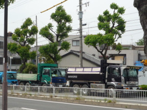 298a039a.jpg