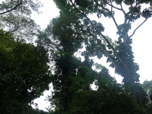 2a2a6863.jpg