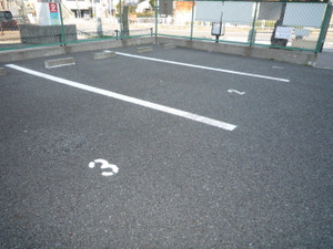334655f3.jpg