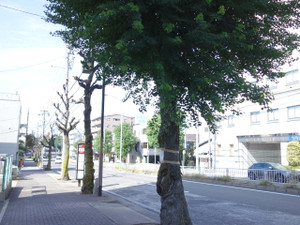 66b016ab.jpg