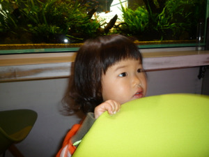 6f022ef9.jpg