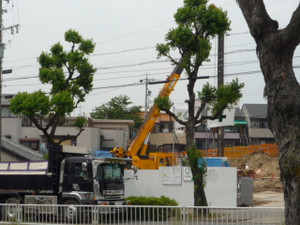 7d9eb54d.jpg