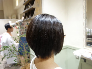 84f6472d.jpg