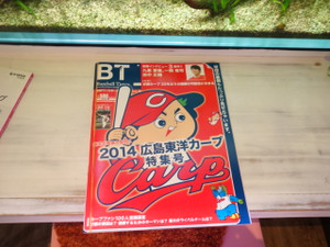 889787f1.jpg