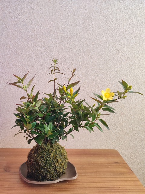 IMG_20230322_074141
