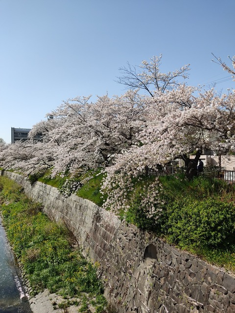 IMG_20210331_091758