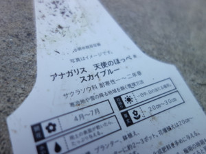 f34c09b8.jpg