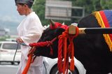 御霊祭牛車3牛DSC_0483