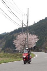 ������ƻ�˥Х���������