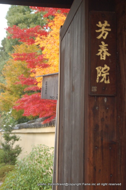 春野町芳原