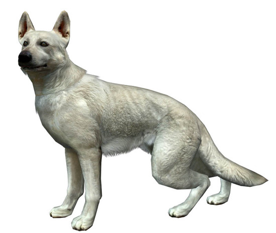 Hewie