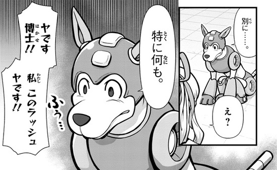 【修正】やなラッシュ