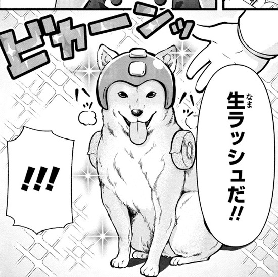 【修正】生ラッシュ