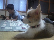 t02200165_0640048010685953284