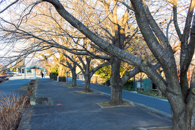 20180106-IMG_0158