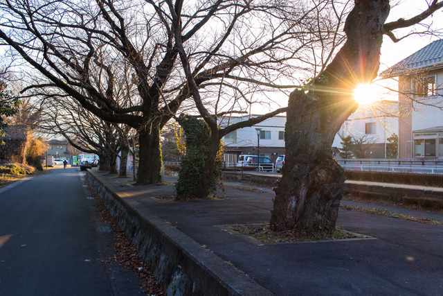 20180106-IMG_0153