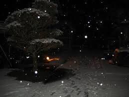 1E40CC1A-771E-48E6-A66F-7BA2337802C5