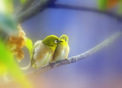 2846E637-CE8A-465A-9D6E-6C560F273566