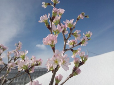 79B5C575-EA82-4F80-8E16-9DBA249DFD5C