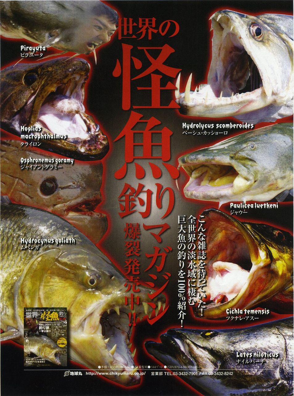 怪魚中の怪魚 現る ロドリブログ 怪魚中の怪魚 現る ロドリブログ