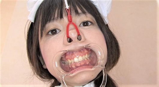 メイドに鼻フックとアングルワイダー