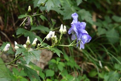20120923-163642.jpg
