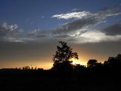 20090719-camp13 20090719-camp13