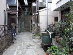 20090214-higuchiichiyo2