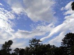 20090719-camp8 20090719-camp8