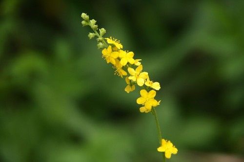 20120923-163433.jpg