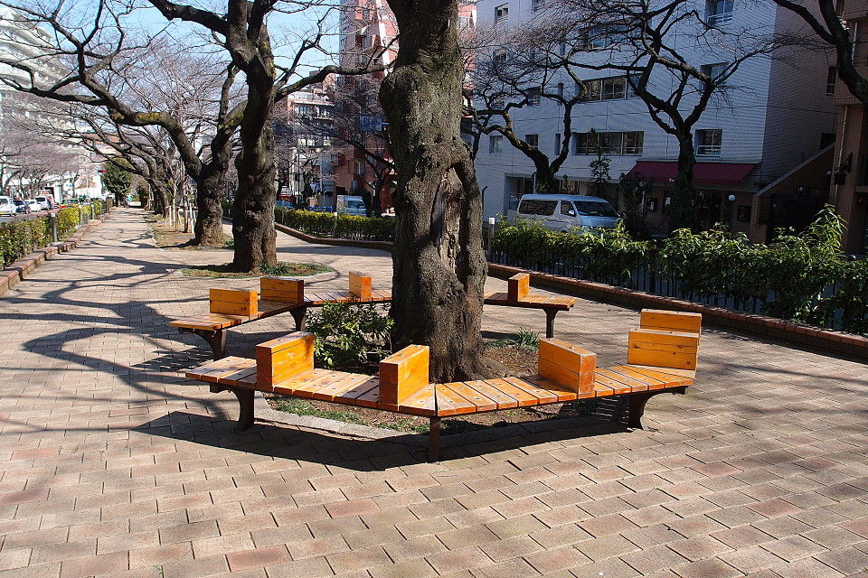 上野から池袋まで歩いて梅の花とか 老眼palm