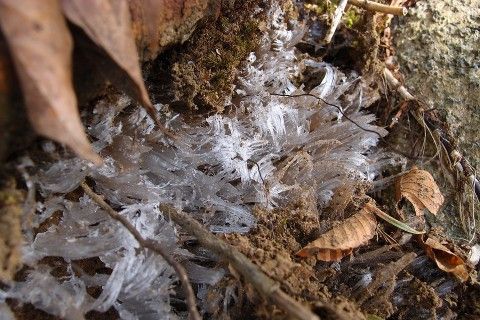 20130209-4