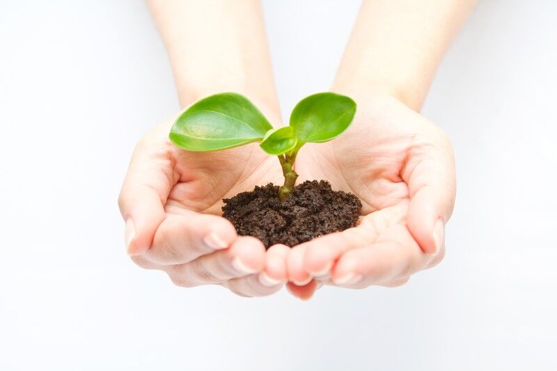 C789_happawomotu_TP_V4