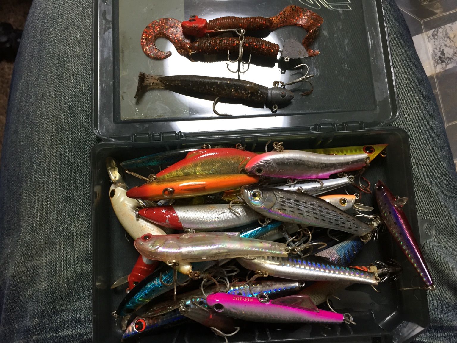 シーバスに行こう 準備と思い出 編 T助の釣り 音楽 料理日記 とりあえず 続きます シーバスに行こう 準備と思い出 編 T助の釣り 音楽 料理日記 とりあえず 続きます