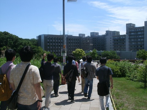 GEDC4413