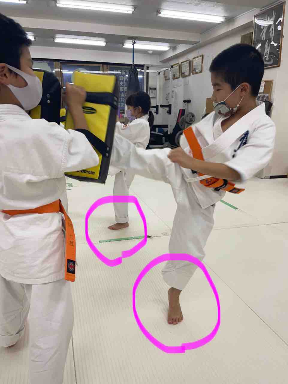 12 6 火 廻し蹴り技の強さの秘密 北習志野 地上最強のカラテ 極真