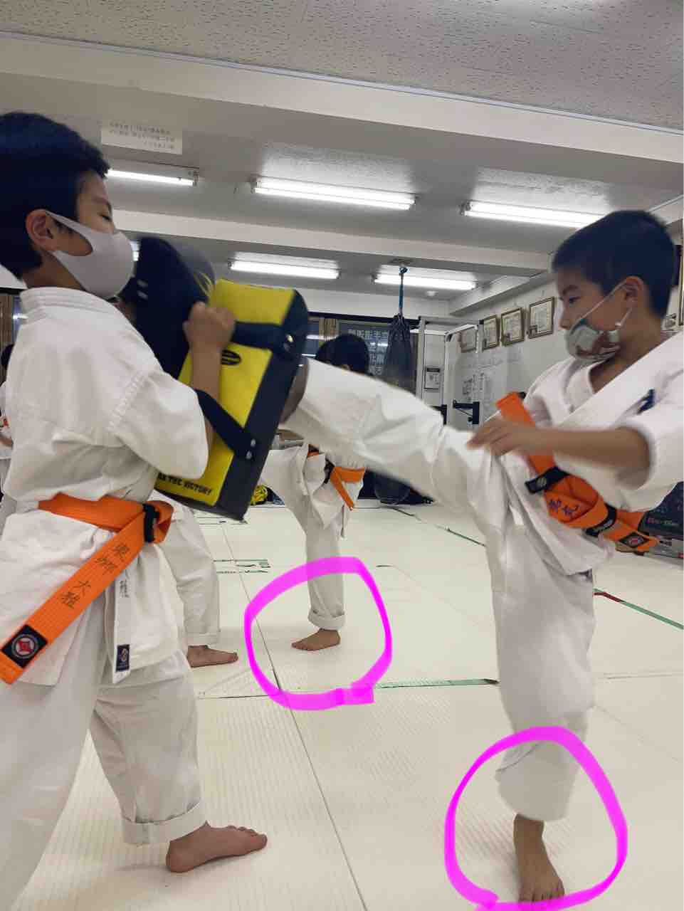 12 6 火 廻し蹴り技の強さの秘密 北習志野 地上最強のカラテ 極真