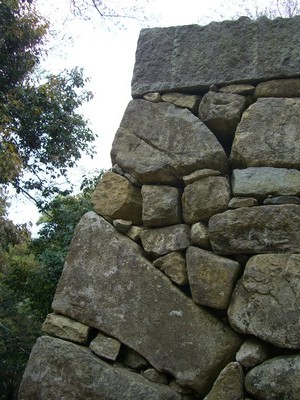 CIMG5395