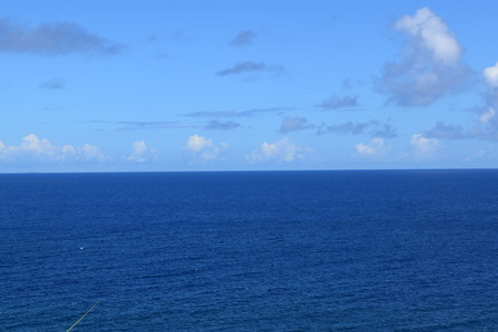 DSC_0382