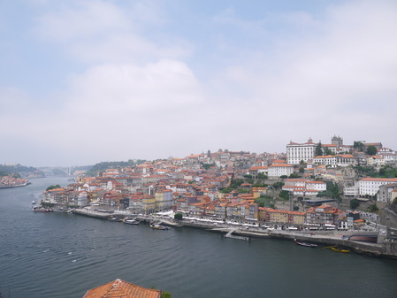 P1020506