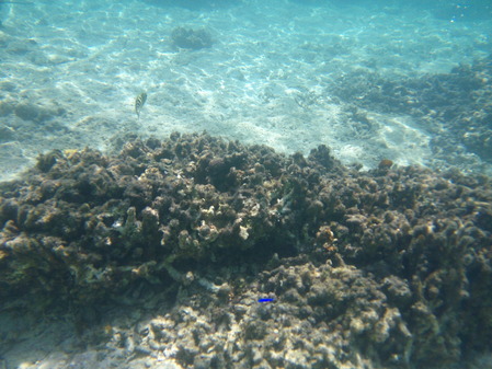 DSCF0085