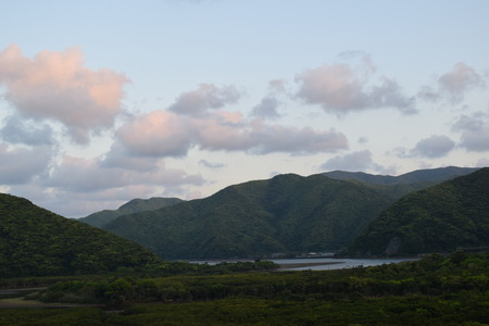 DSC_0290