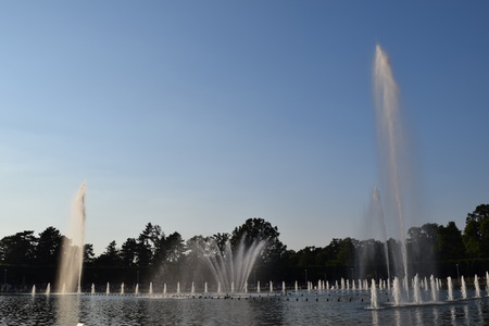 DSC_0659
