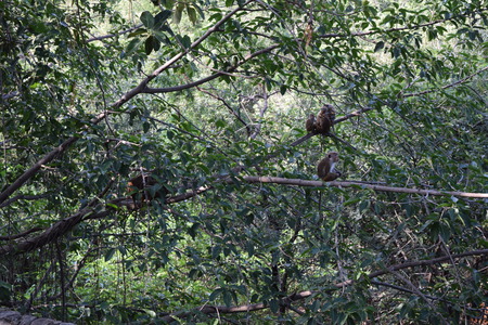 DSC_0064