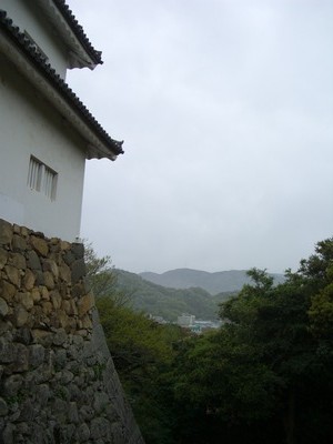 CIMG5385