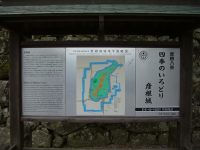 CIMG5382